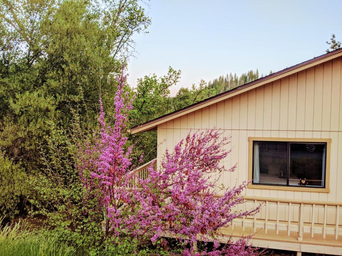 Yosemite Haven @ Pine Mountain Lake. Dog Friendly! Groveland Buitenkant foto